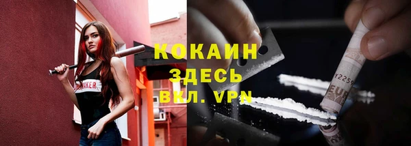 прущий лед Корсаков