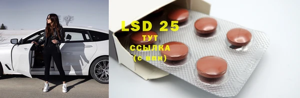 ECSTASY Кинешма