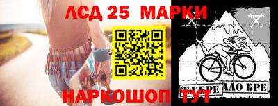 мдпв Владимир