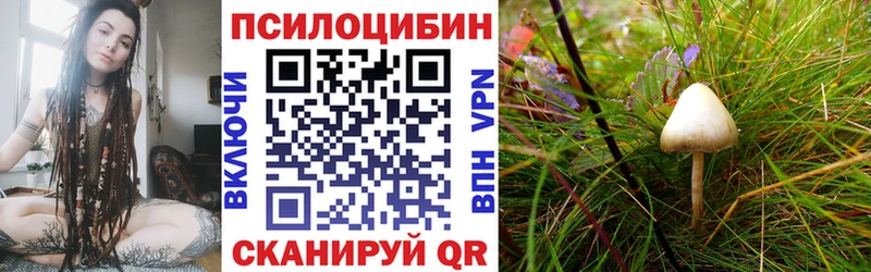 Псилоцибиновые грибы мицелий  Красноперекопск 